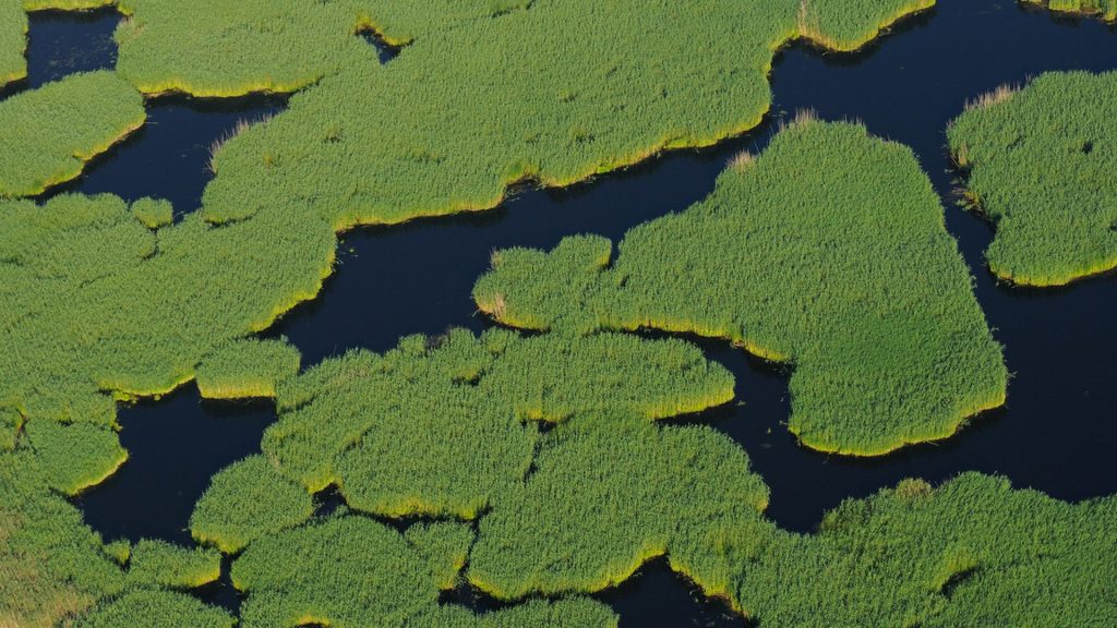 Aerials over the Danube delta rewilding area, Romania