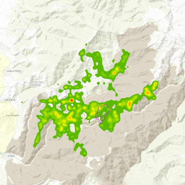 Mișcarea zimbului Avgunni între 2017-2019 în Măgura Zimbrilor