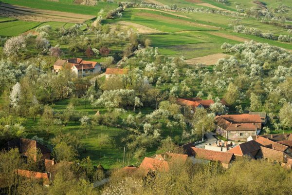 Peisaj rural în Măgura Zimbrilor ©Dan Dinu