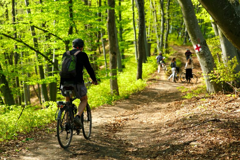 transilvania biciclete WWF