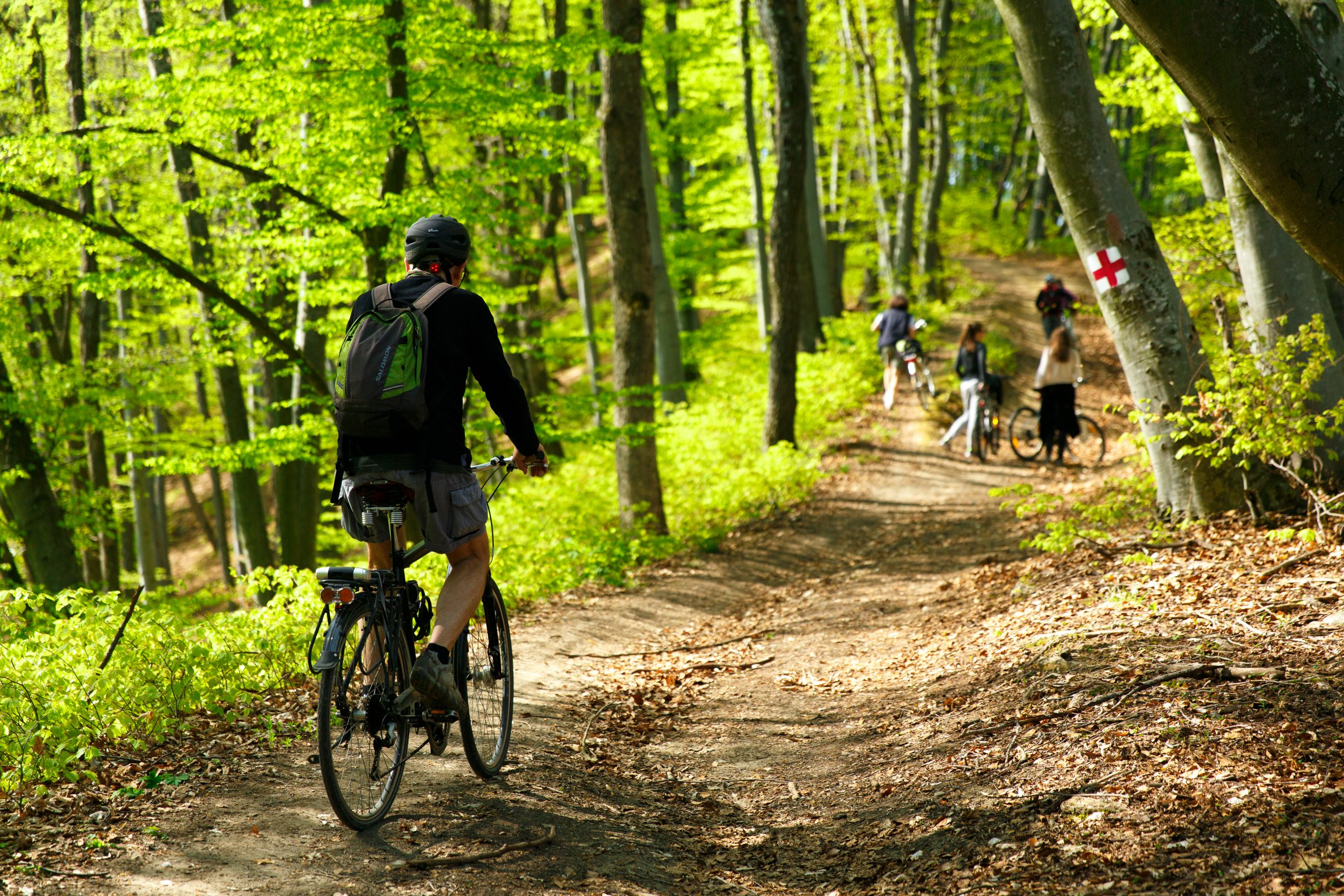 Trasee bicicleta Colinele Transilvaniei. (c) Cătălin Georgescu/WWF-Romania