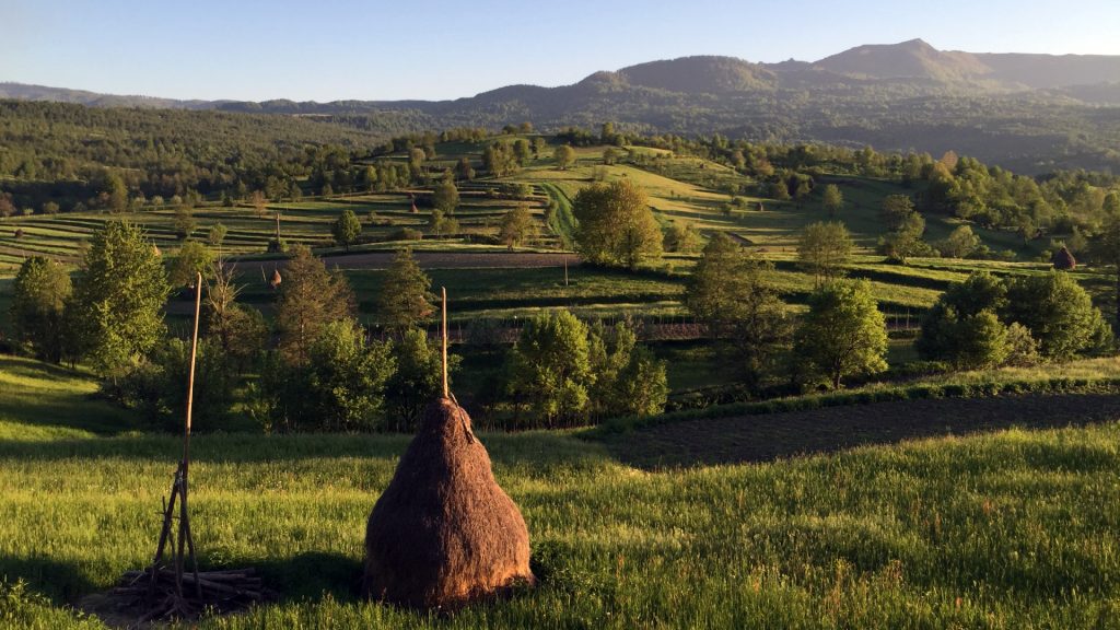 peisaj-mozaicat-in-mara-cosau-creasta-cocosului-maramures-mara-cazacu-1920x1080