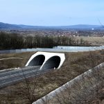 Eocduct Branisca Romania_Transgreen project (2)