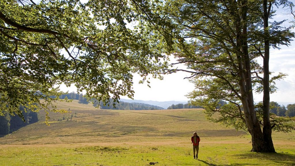 Hiker, Gradistea Muncelului Cioclovina Nature Park, Carpathian M