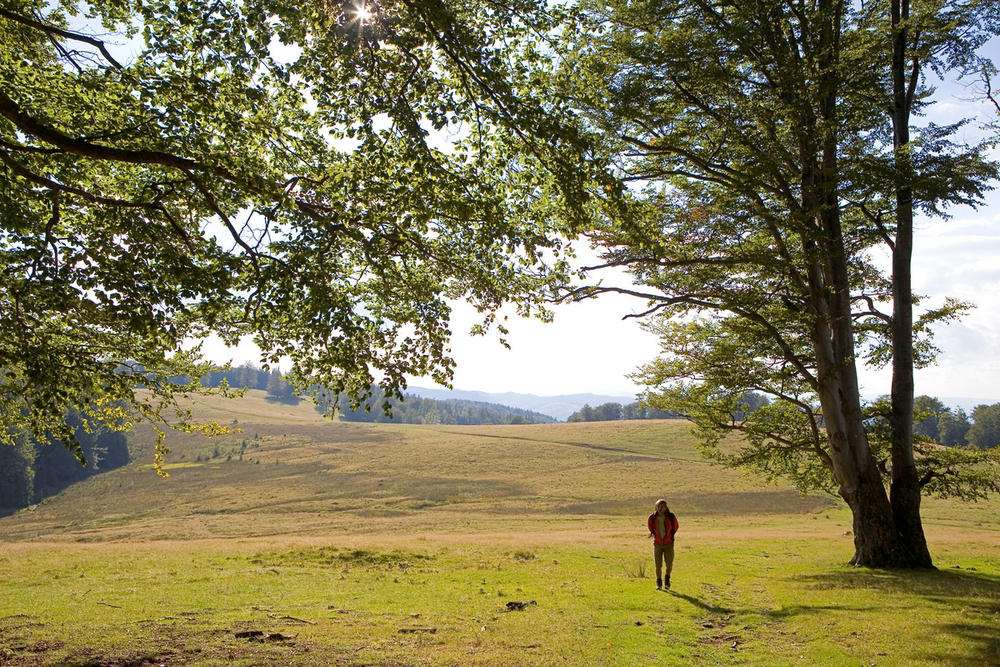 Hiker, Gradistea Muncelului Cioclovina Nature Park, Carpathian M