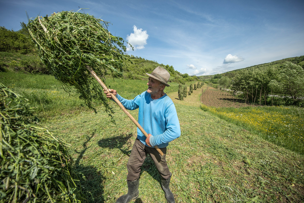 Maramures © James Morgan WWF (2)