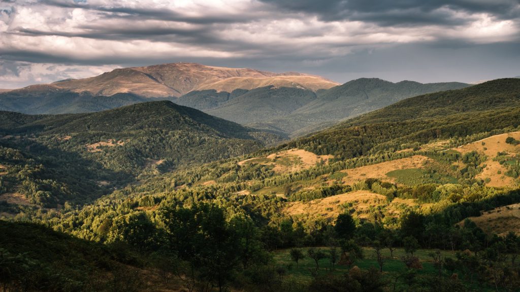 camposaz_in_magura_zimbrilor_august_2017_copyright_bogdan_comanescu__5_