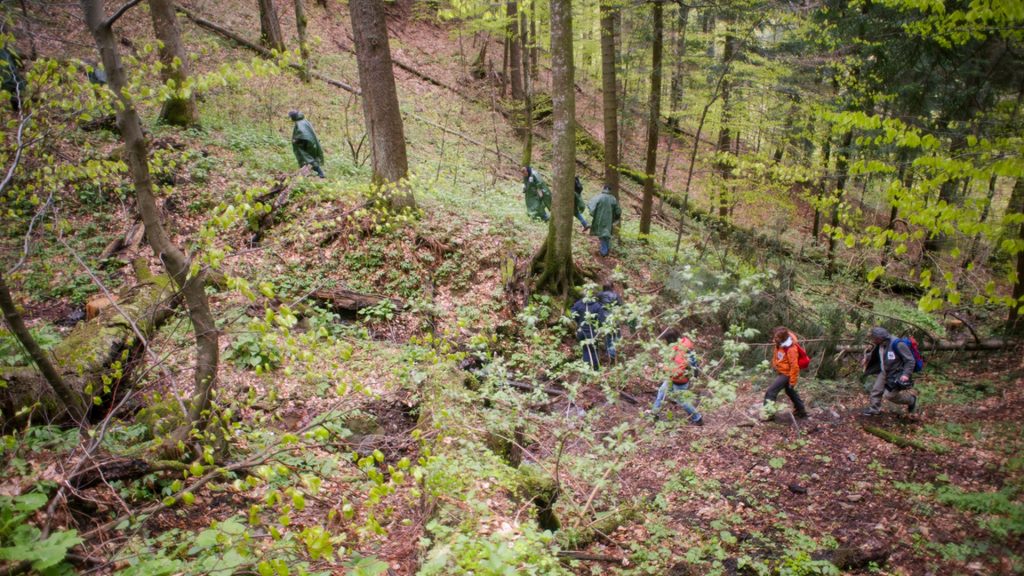 echipa_wwf__insotita_de_o_echipa_de_jurnalisti__au_fost_in_padurile_sincii_pentru_a_se_c