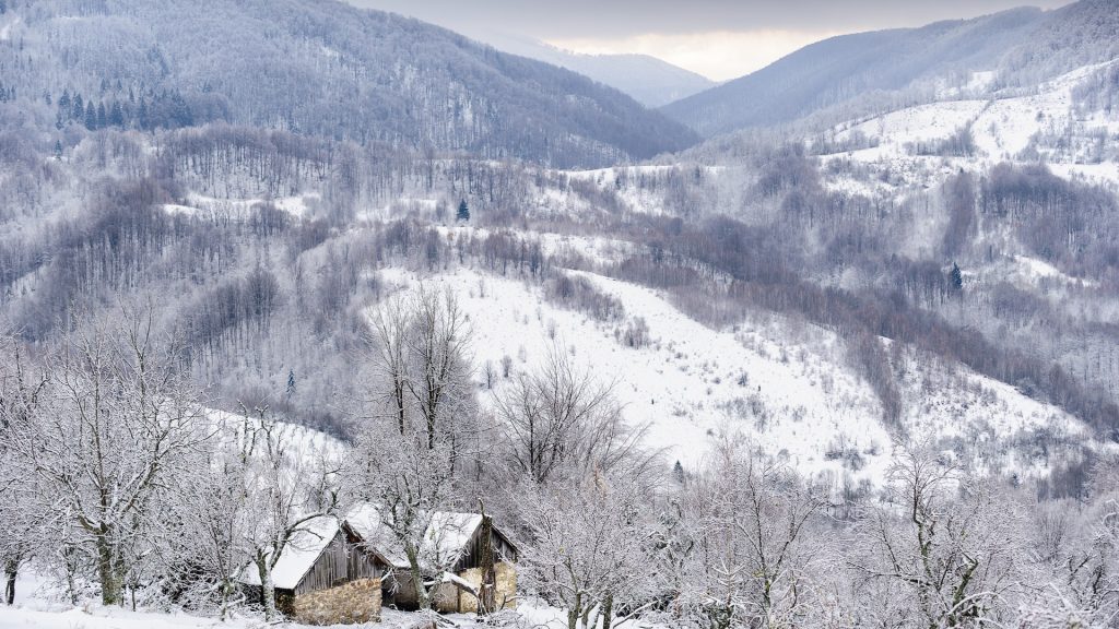 iarna_in_munii_arcu__sit_natura_2000__copyright_obligatoriu_bogdan_comnescu