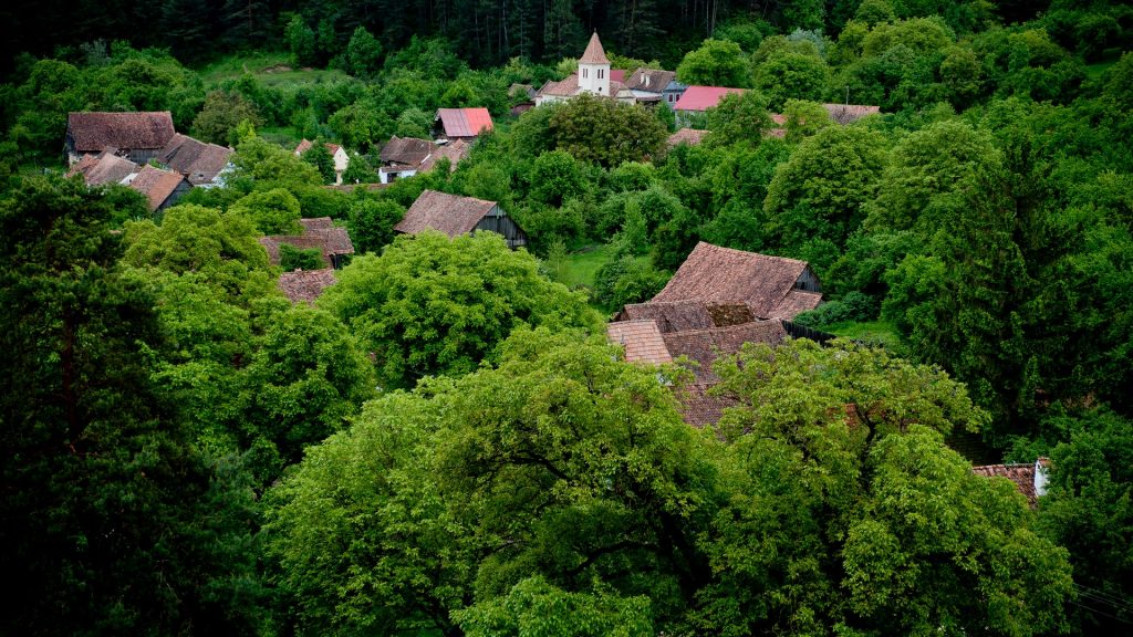 panorama_din_biserica_viscri_lies_willaert