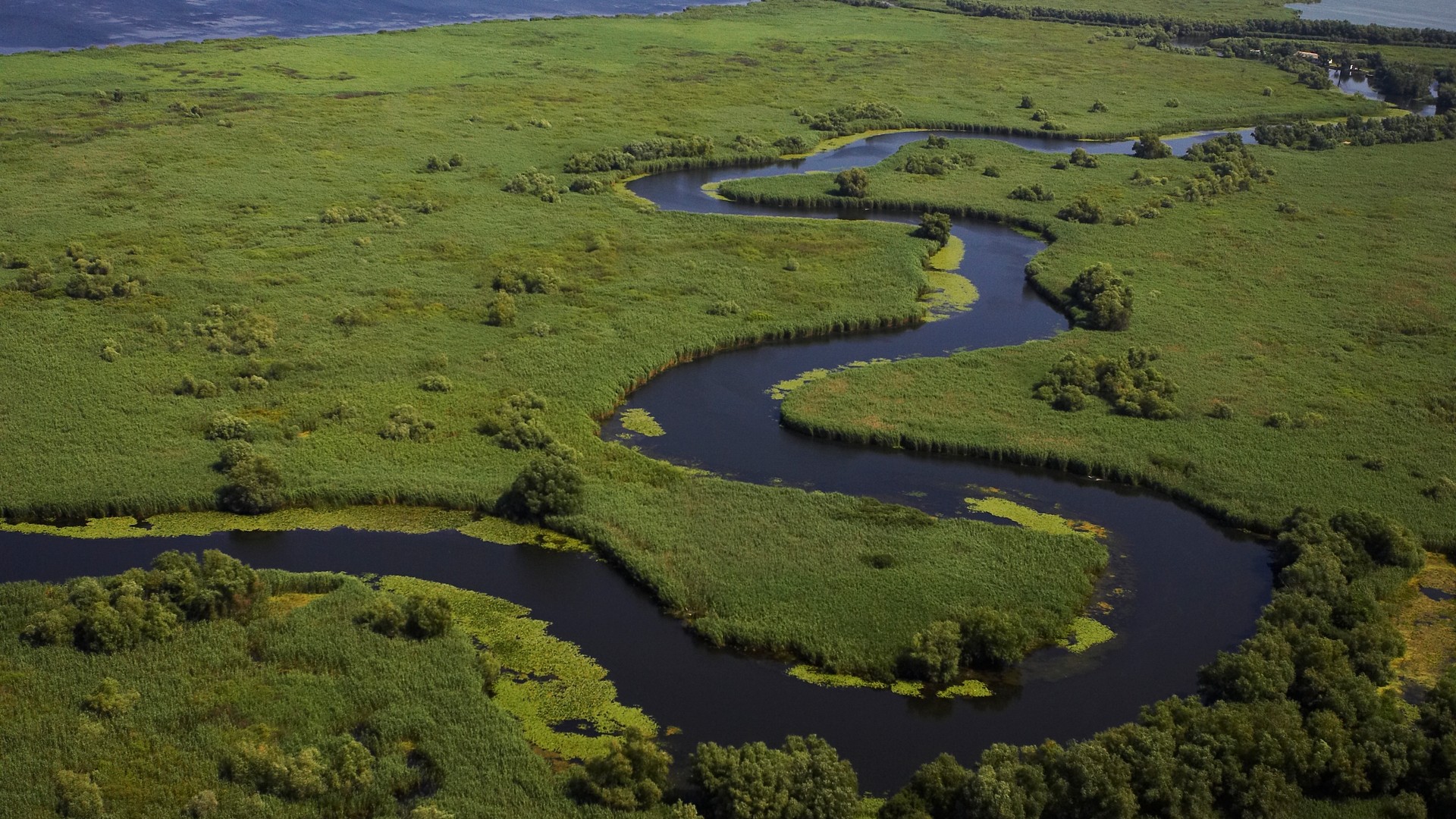 Delta Dunării, Romania, Peisaj 