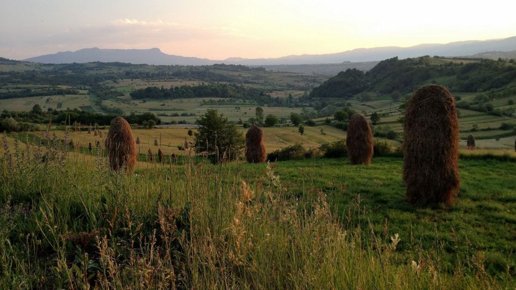 valea_raurilor_mara_cosu_i_rezervaia_creasta_cocoului_in_fundal__copyright_foto_mara