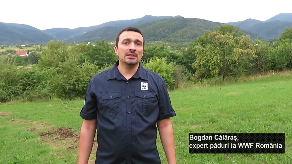 Interviu Bogdan Călăraș