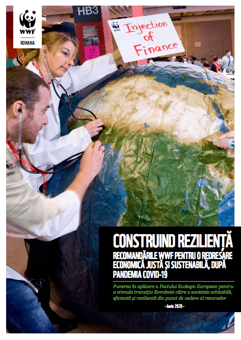 Construind rezilienta