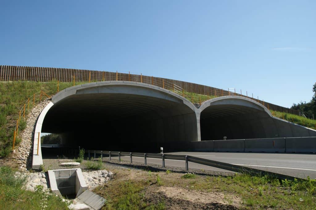 SaveGreen Ecoduct - copyright-Dusan-Valachovic