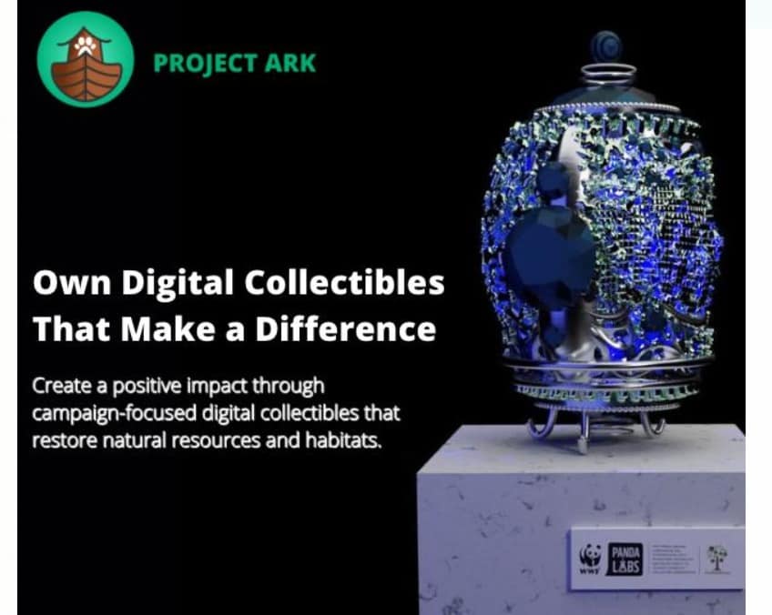 NFT eggs campaign Panda Labs and Project Ark