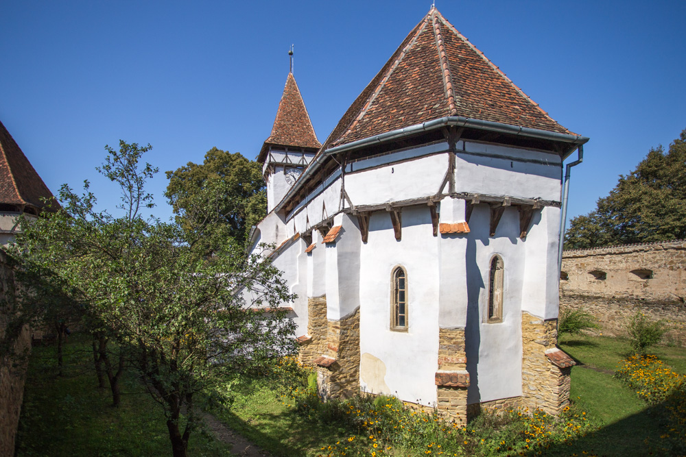Colinele Transilvaniei Este Destina ie Ecoturistic WWF Romania