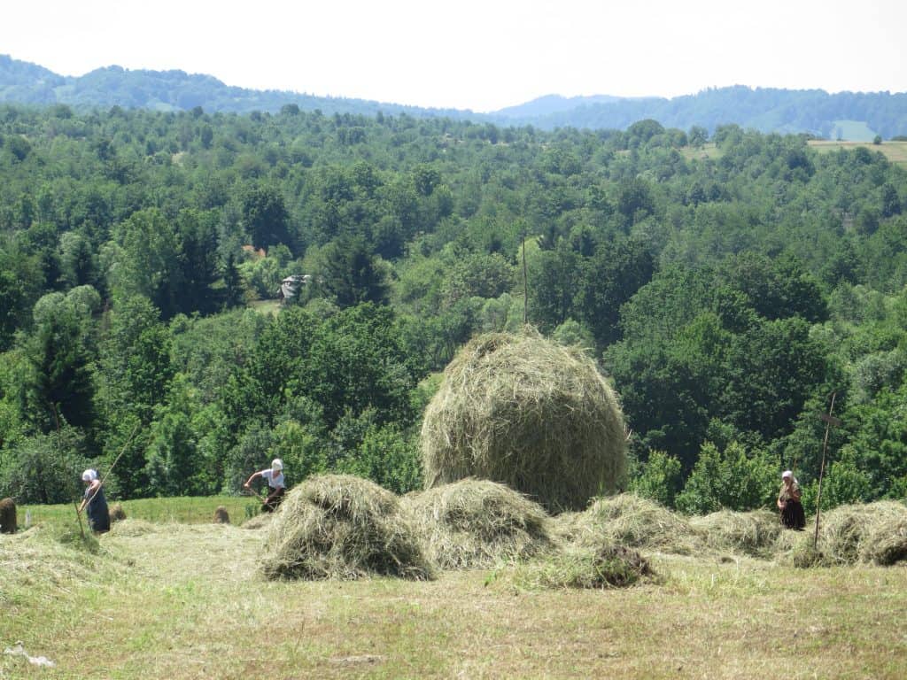 La fân în Maramureș