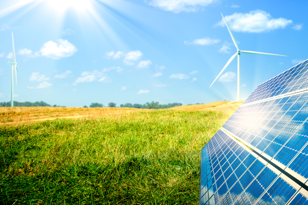 Job WWF Regional Climate and Energy Junior Comms