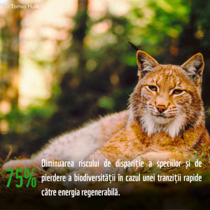 NPET - Raport WWF BGG