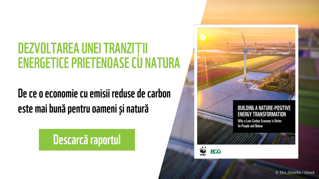 Nature positive energy transition report