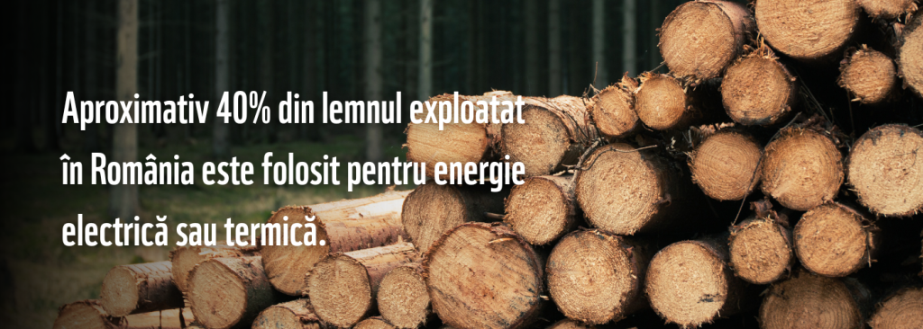 Utilizarea lemnului pentru energie in RO