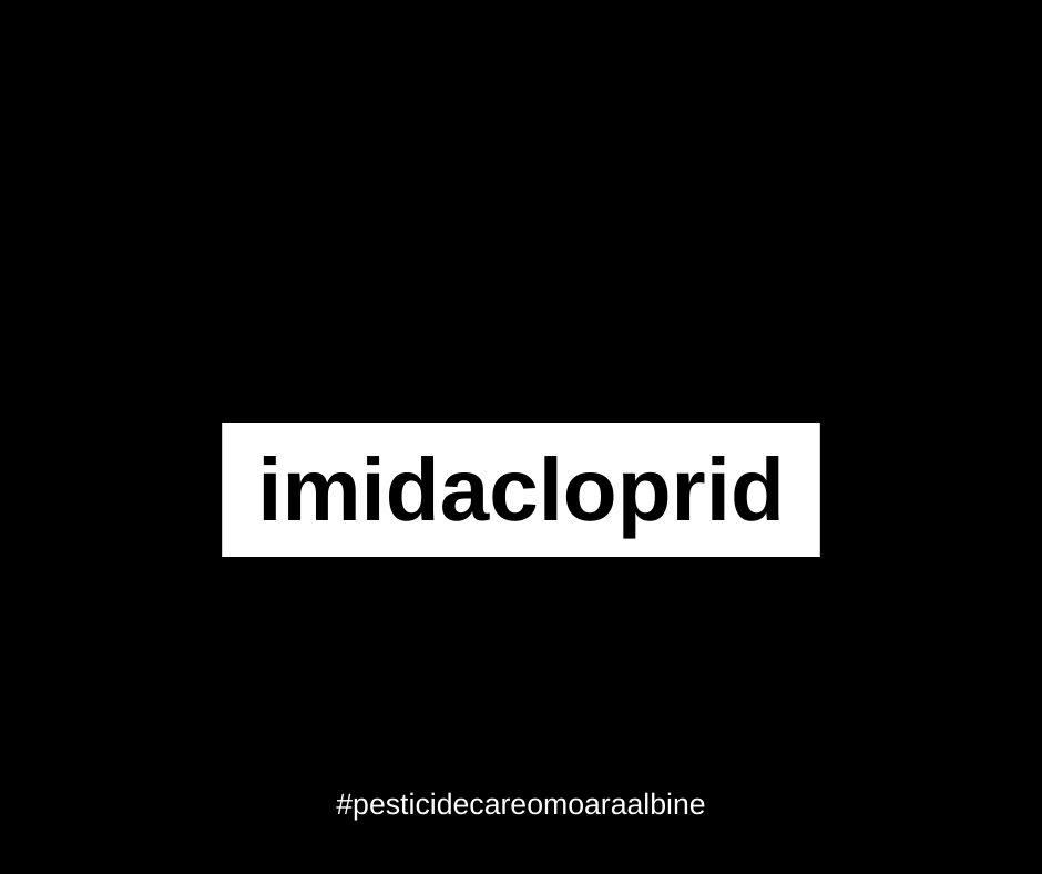 imidacloprid