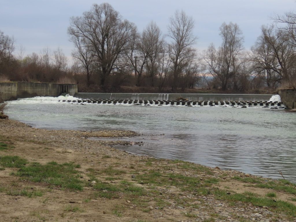 Foto: Călin Ardelean