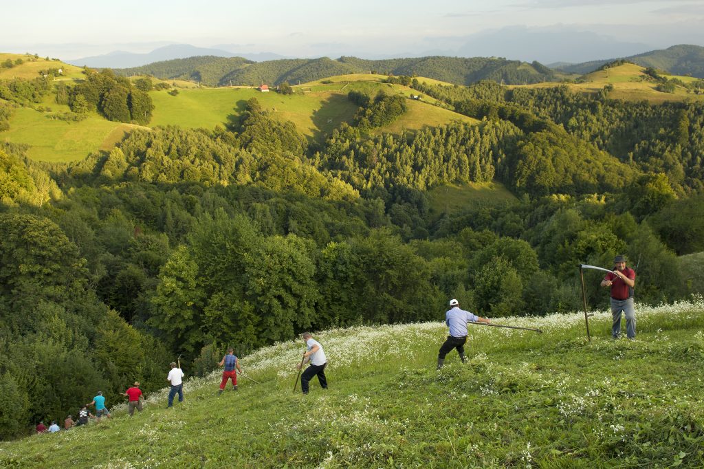 (c) Vlad Dumitrescu/WWF-România