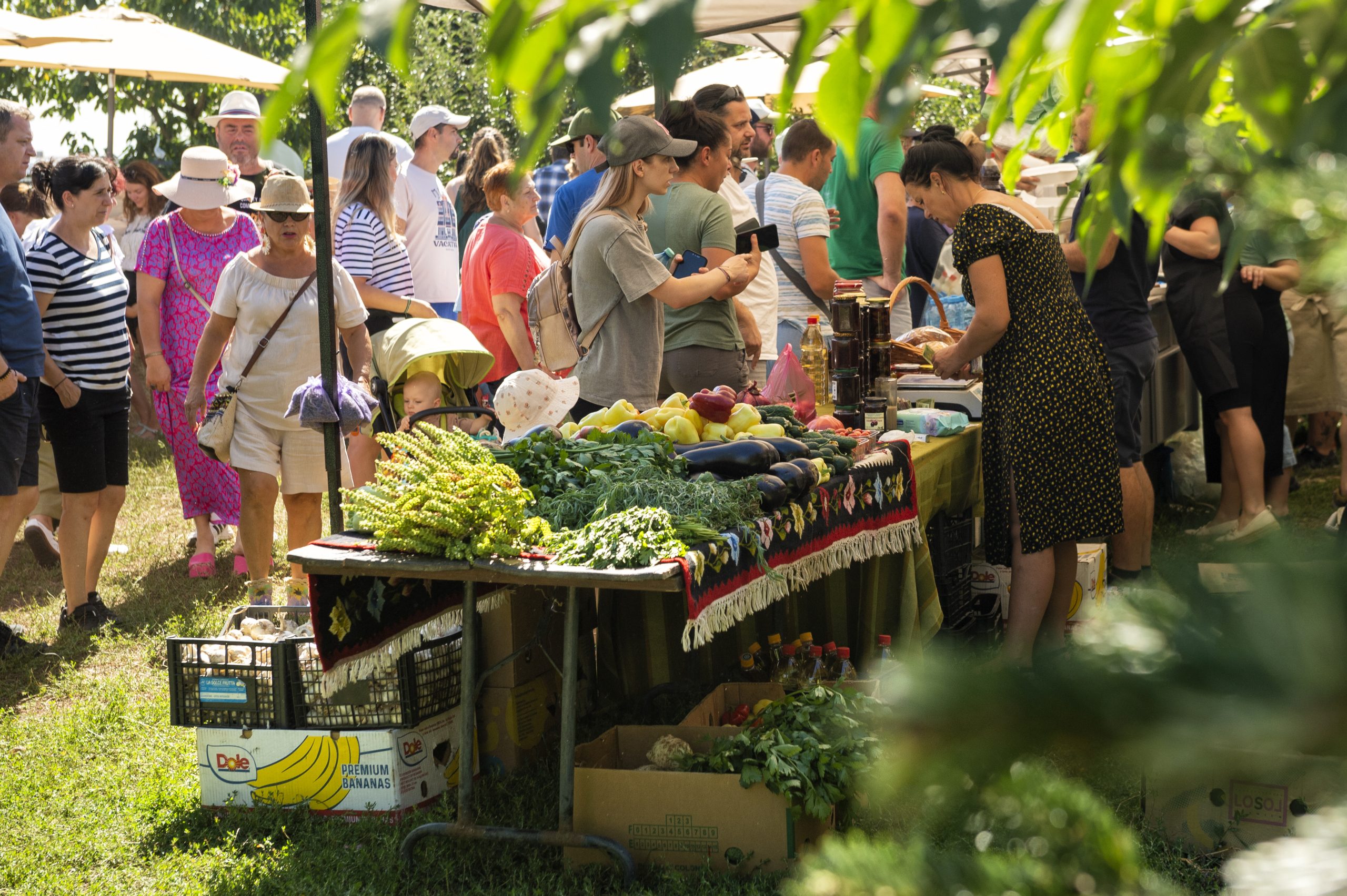(c) Vlad Dumitrescu/WWF-Romania