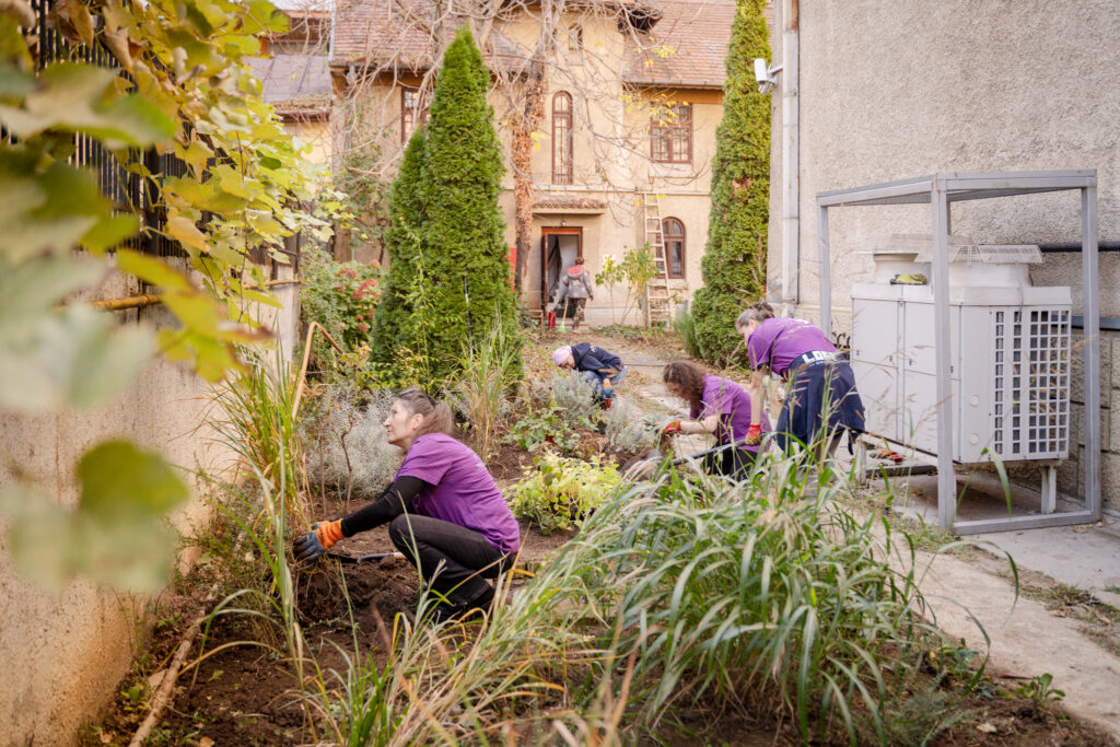 Reamenajare grădină_Muzeul Hărților_(c) Lavinia Cioacă