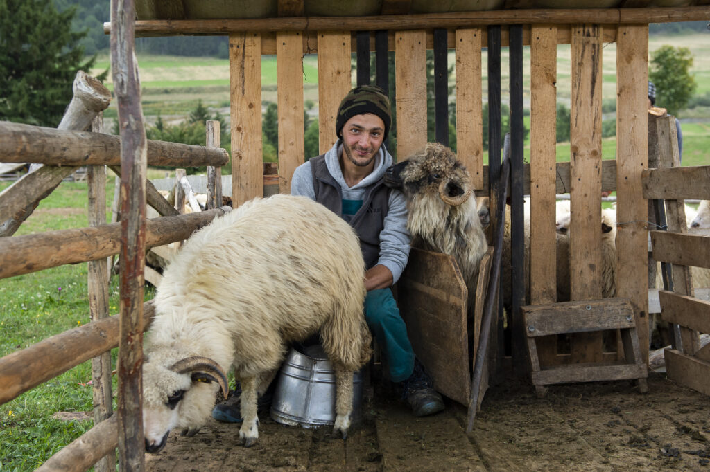 (c) Vlad Dumitrescu/WWF-Romania