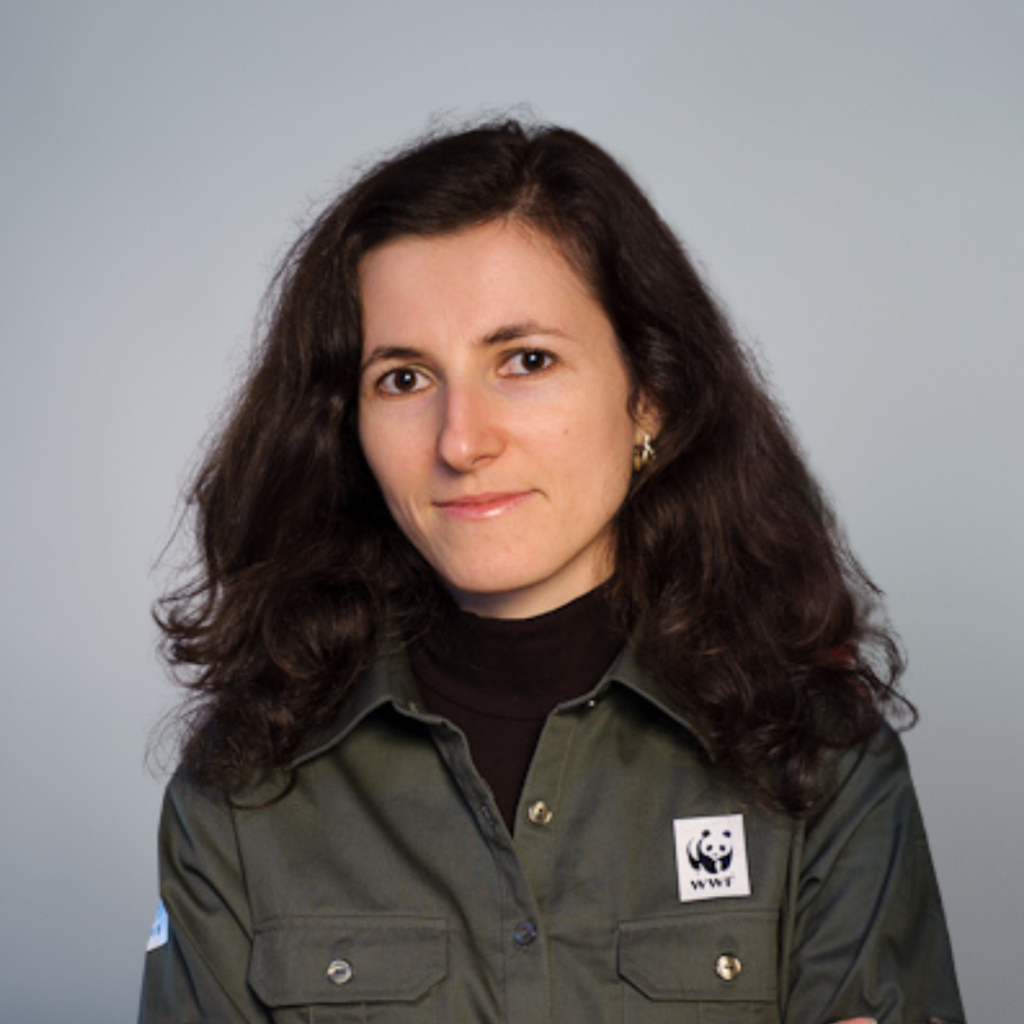 Experții care formează echipa WWF-România | WWF Romania