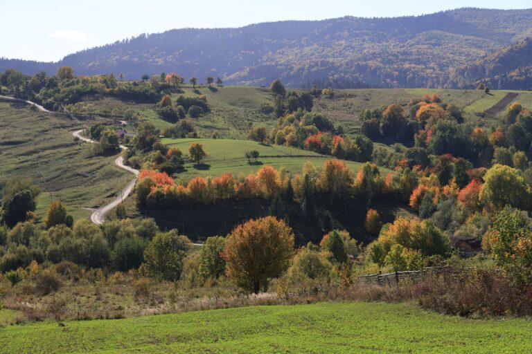Viitorul SUMAL 3.0 | WWF Romania