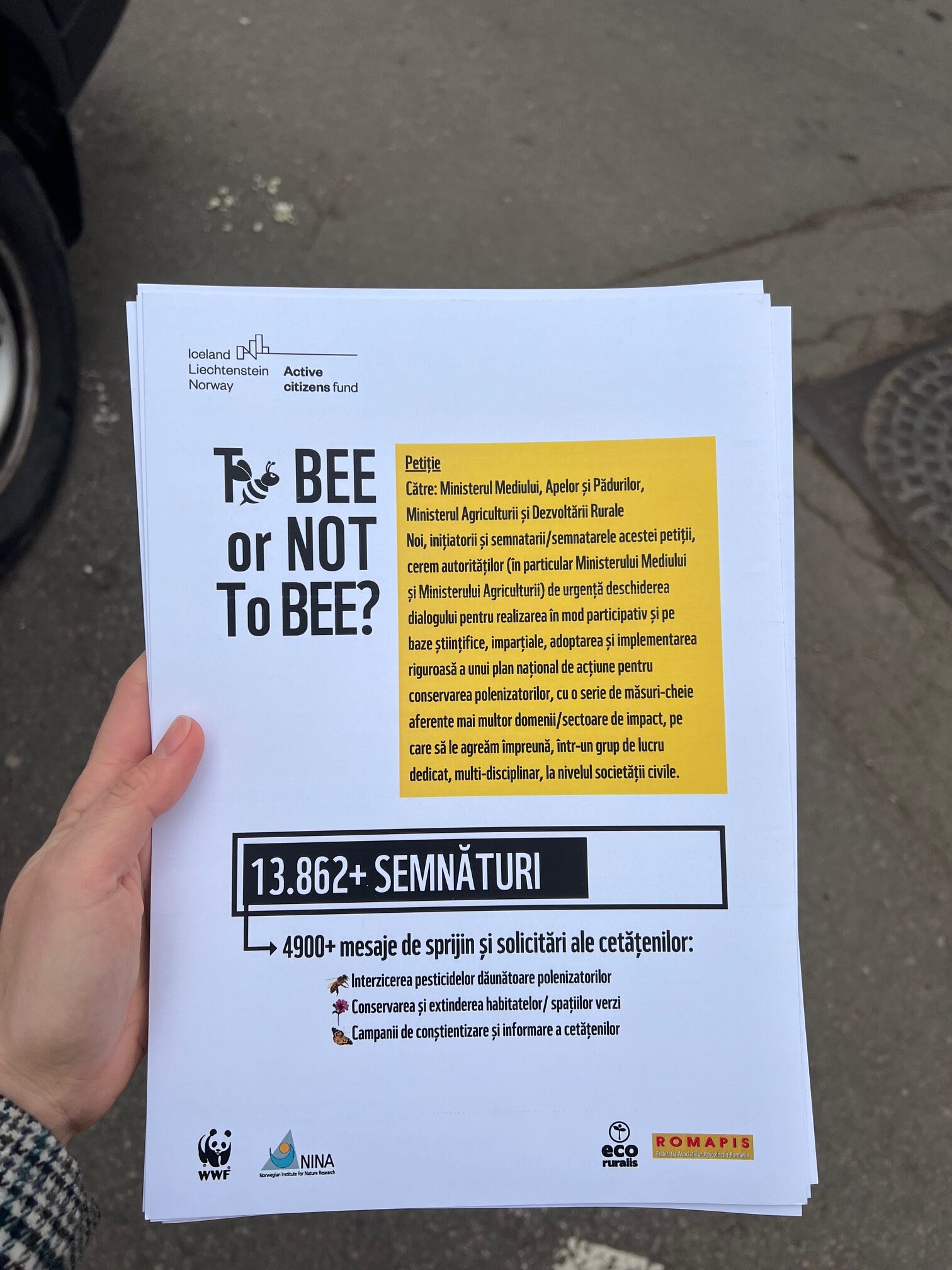 petitie tobee_mara cazacu