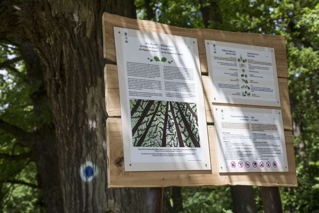 Marcare poteca de povesti Padurea Craiasca. Copyright G. Galgoczy, WWF-Romania_