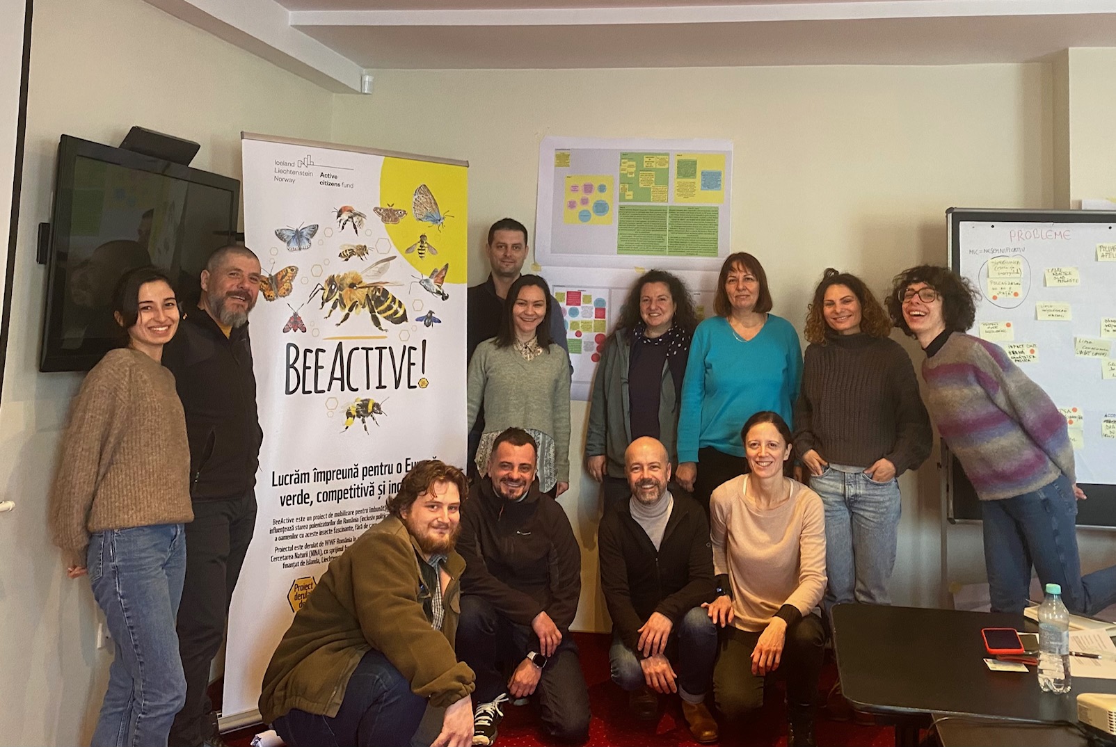 tobee_grup experti bees_mara cazacu