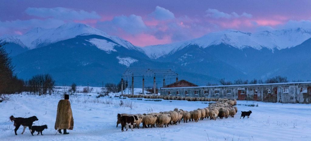 Comunitati WWF Romania