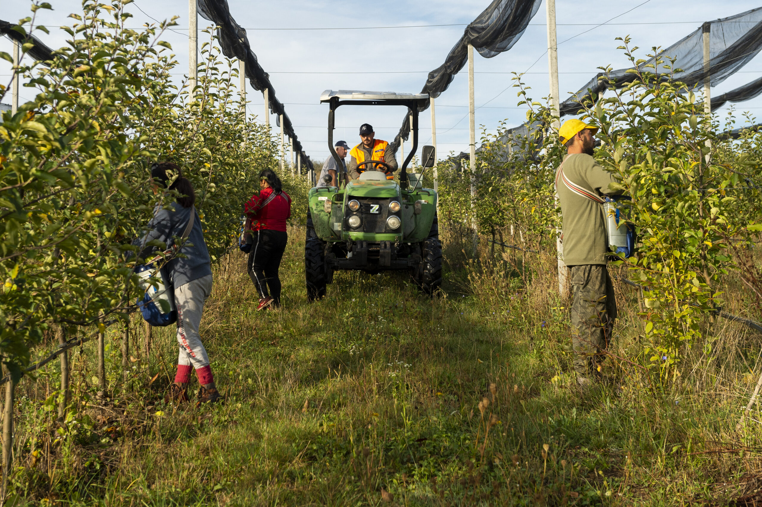 (c) Vlad Dumitrescu/WWF-România