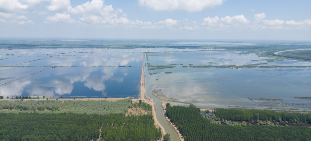 Renaturare WWF Romania