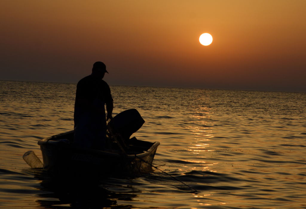 Foto: Tudor Ionescu / WWF
