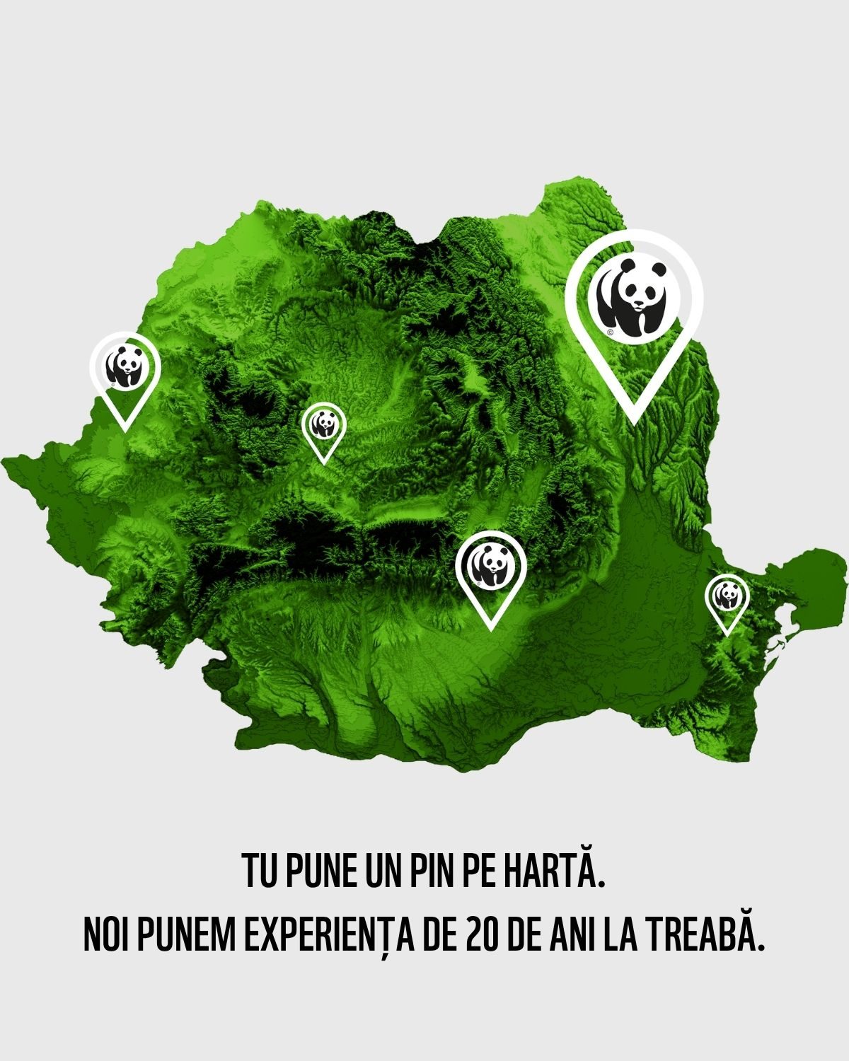 PUNE UN PIN PE HARTĂ! (1)